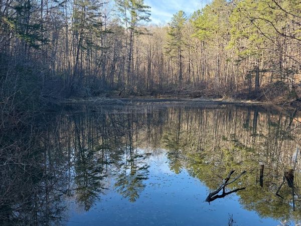 15 Mountain Gate, Cleveland, GA 30528