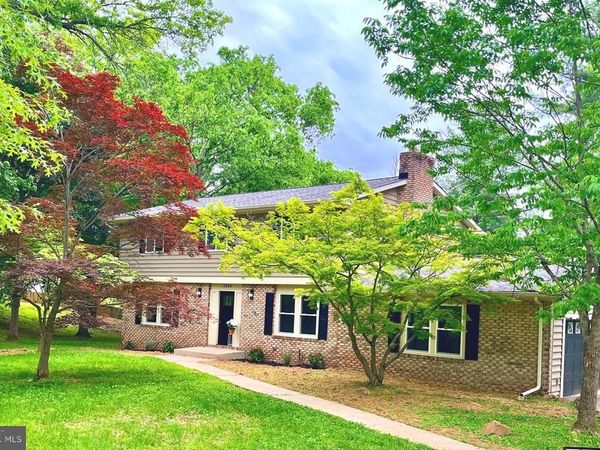 3909 THOROUGHBRED LANE, OWINGS MILLS, MD 21117