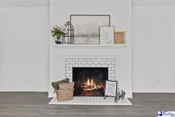1500 W Carolina Ave photo 4