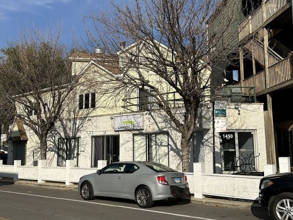 1450 W Webster Avenue, Unit 2, Chicago, IL 60614
