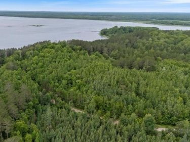 TBD Lot C County Road 533, Effie, MN 56639