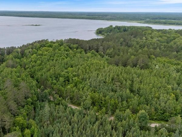 TBD Lot C County Road 533, Effie, MN 56639