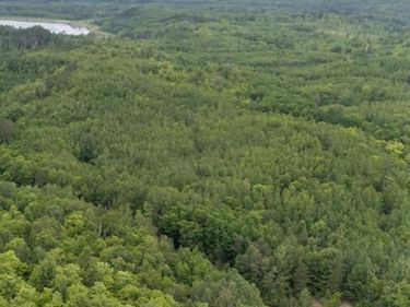 TBD Lot B Co Rd 533 , Effie, MN 56639
