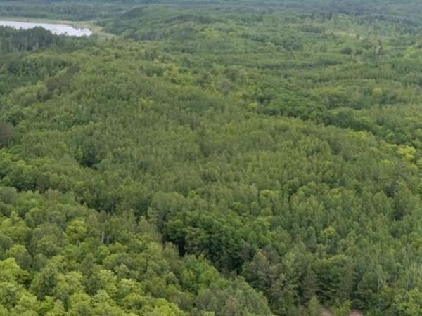 TBD Lot B Co Rd 533 , Effie, MN 56639