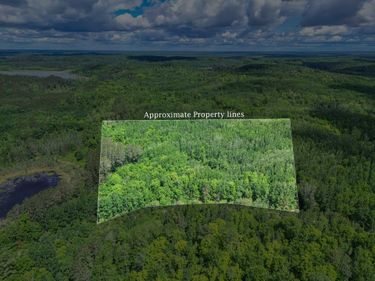 TBD Lot B Co Rd 533 , Effie, MN 56639