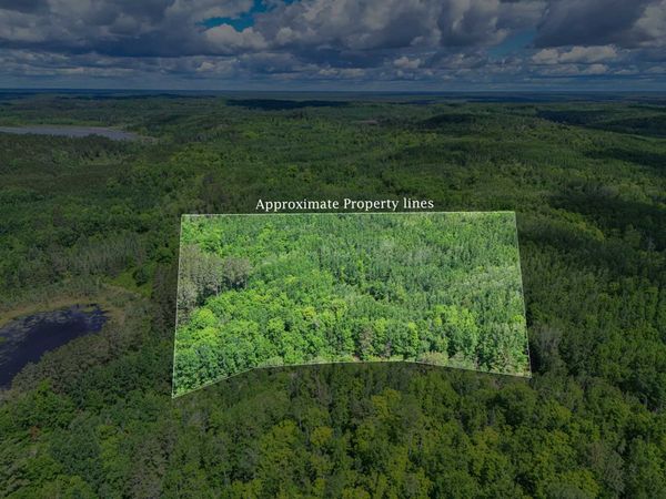 TBD Lot B Co Rd 533 , Effie, MN 56639
