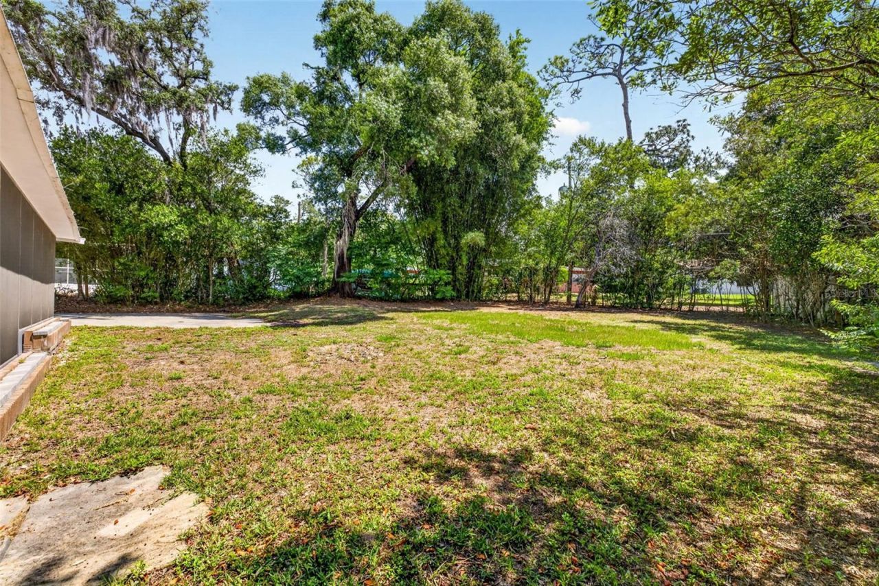 305 Bannockburn Avenue, Temple Terrace, FL 33617 Photo