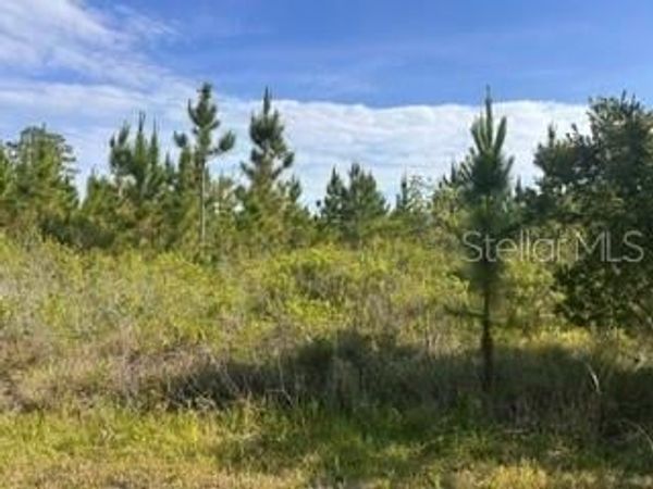 118 (BLK 356 LOT 9) TROPICANA DRIVE , INDIAN LAKE ESTATES, FL 33855