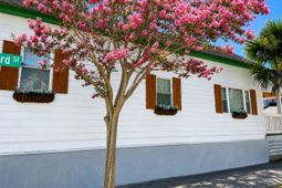 33 Sheppard Street photo 4