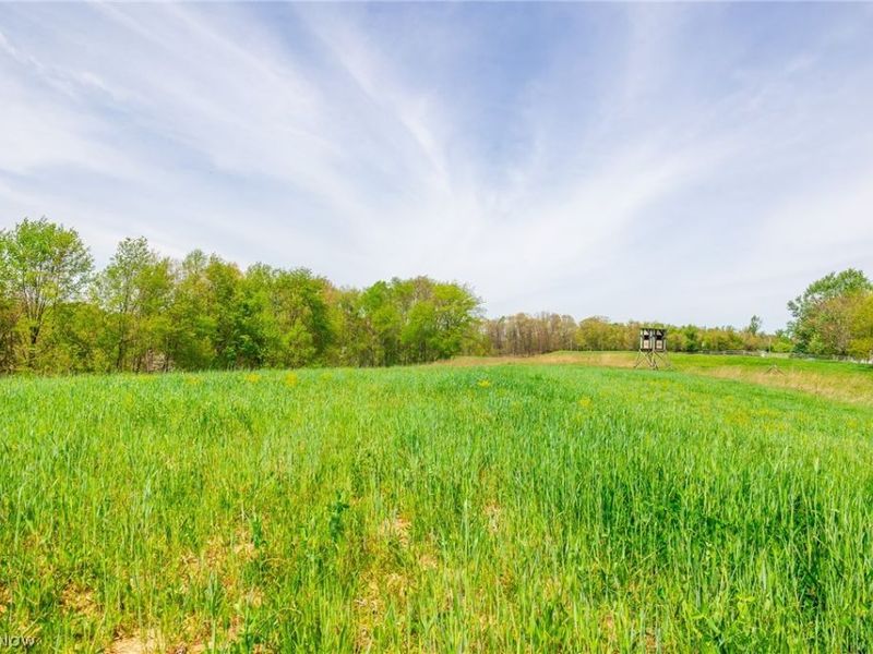 6268 Kings Ridge Road , Newcomerstown, OH 43832 Photo 13
