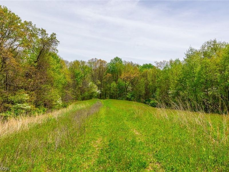 6268 Kings Ridge Road , Newcomerstown, OH 43832 Photo 14