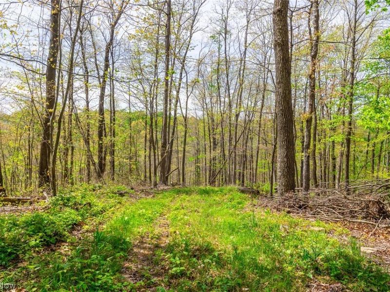 6268 Kings Ridge Road , Newcomerstown, OH 43832 Photo 17