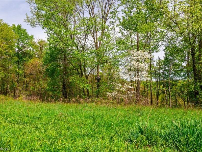 6268 Kings Ridge Road , Newcomerstown, OH 43832 Photo 18