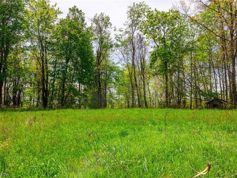 6268 Kings Ridge Road , Newcomerstown, OH 43832 Photo 19
