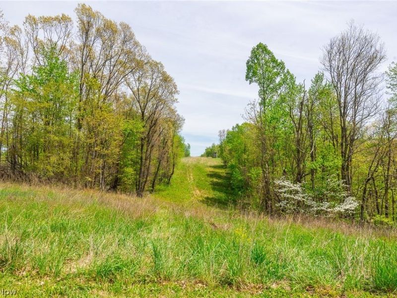 6268 Kings Ridge Road , Newcomerstown, OH 43832 Photo 2