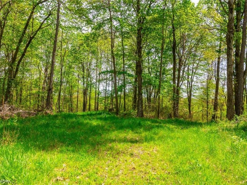 6268 Kings Ridge Road , Newcomerstown, OH 43832 Photo 20