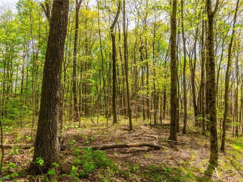6268 Kings Ridge Road , Newcomerstown, OH 43832 Photo 21