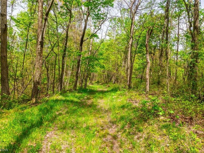 6268 Kings Ridge Road , Newcomerstown, OH 43832 Photo 24
