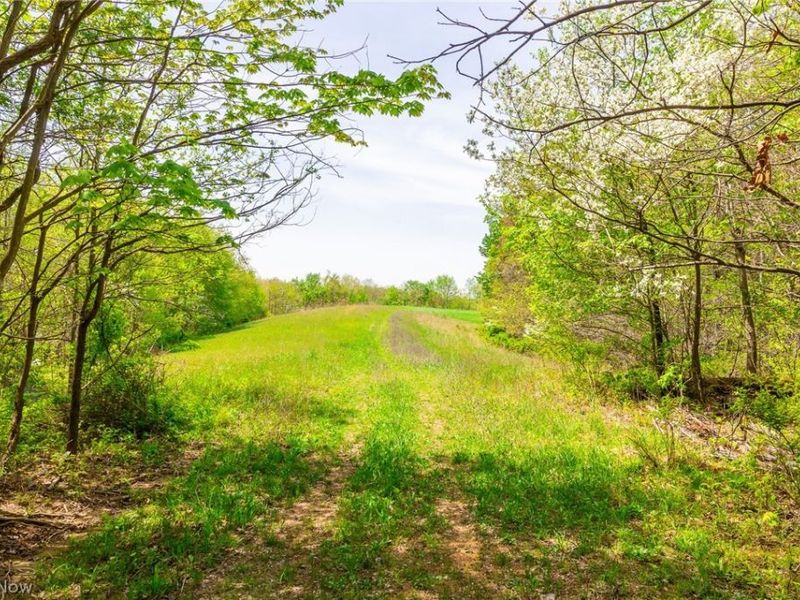 6268 Kings Ridge Road , Newcomerstown, OH 43832 Photo 25