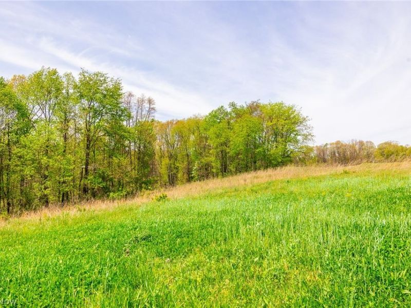 6268 Kings Ridge Road , Newcomerstown, OH 43832 Photo 27
