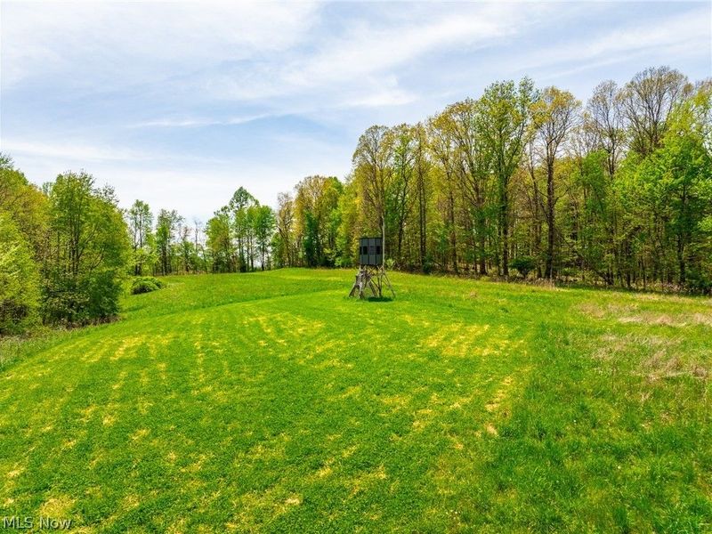 6268 Kings Ridge Road , Newcomerstown, OH 43832 Photo 29