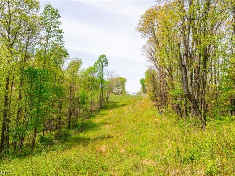 6268 Kings Ridge Road , Newcomerstown, OH 43832 Photo 3