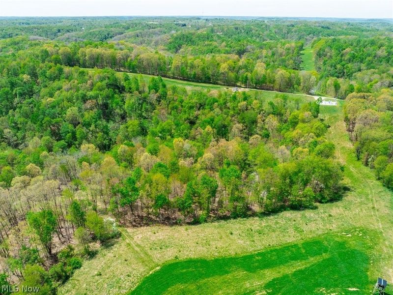 6268 Kings Ridge Road , Newcomerstown, OH 43832 Photo 34