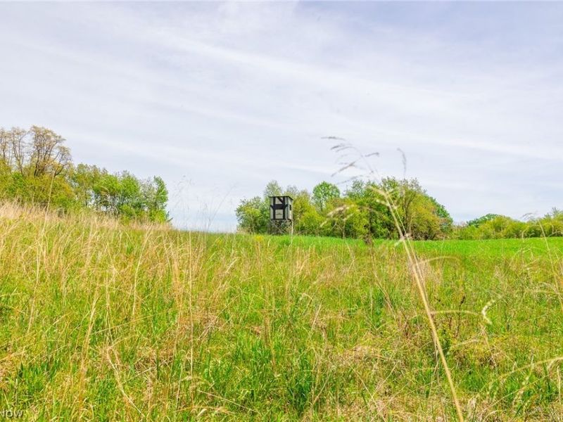 6268 Kings Ridge Road , Newcomerstown, OH 43832 Photo 6