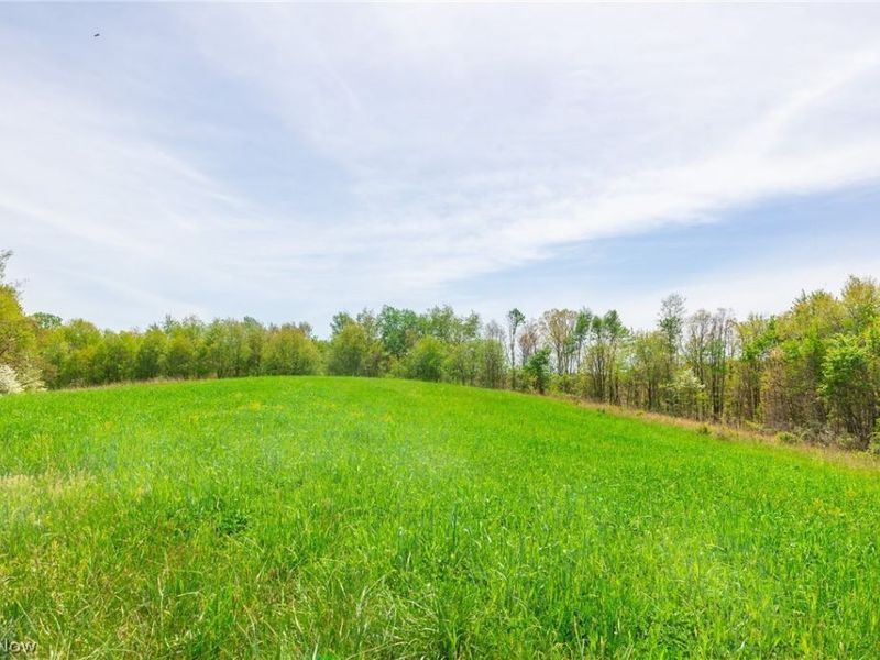 6268 Kings Ridge Road , Newcomerstown, OH 43832 Photo 7