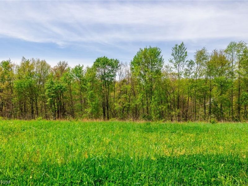 6268 Kings Ridge Road , Newcomerstown, OH 43832 Photo 9