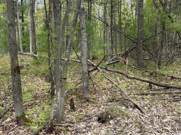 Muncie View Trail, Traverse City, MI 49696