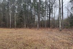 165 Ash Hill Drive photo 4