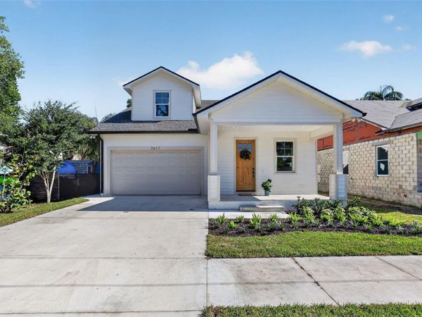 7617 ALVINA STREET , TAMPA, FL 33625