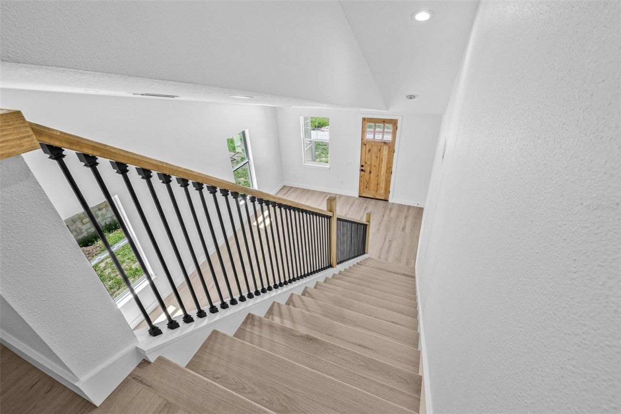 7617 Alvina Street, Tampa, FL 33625 Photo