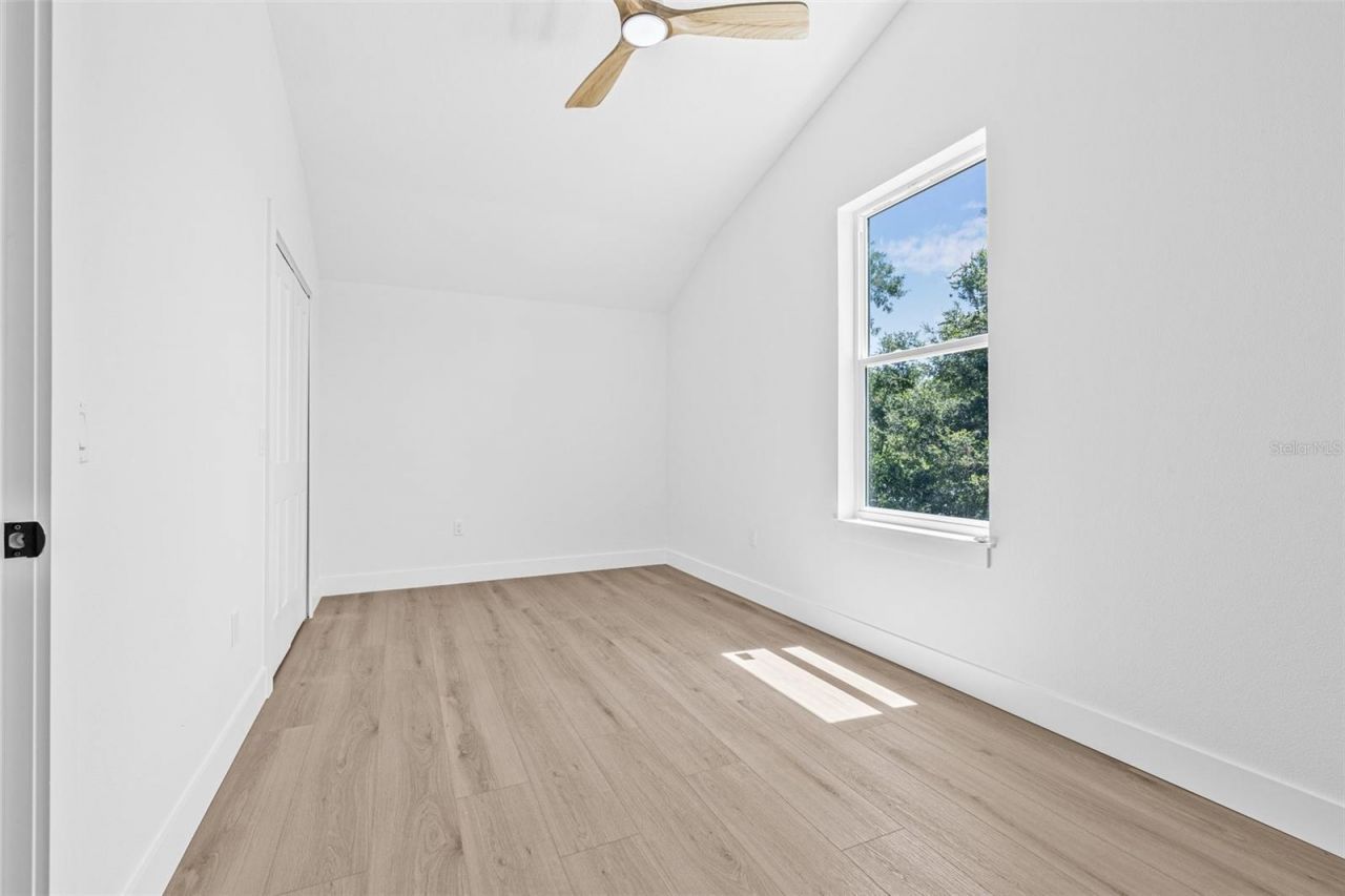 7617 Alvina Street, Tampa, FL 33625 Photo