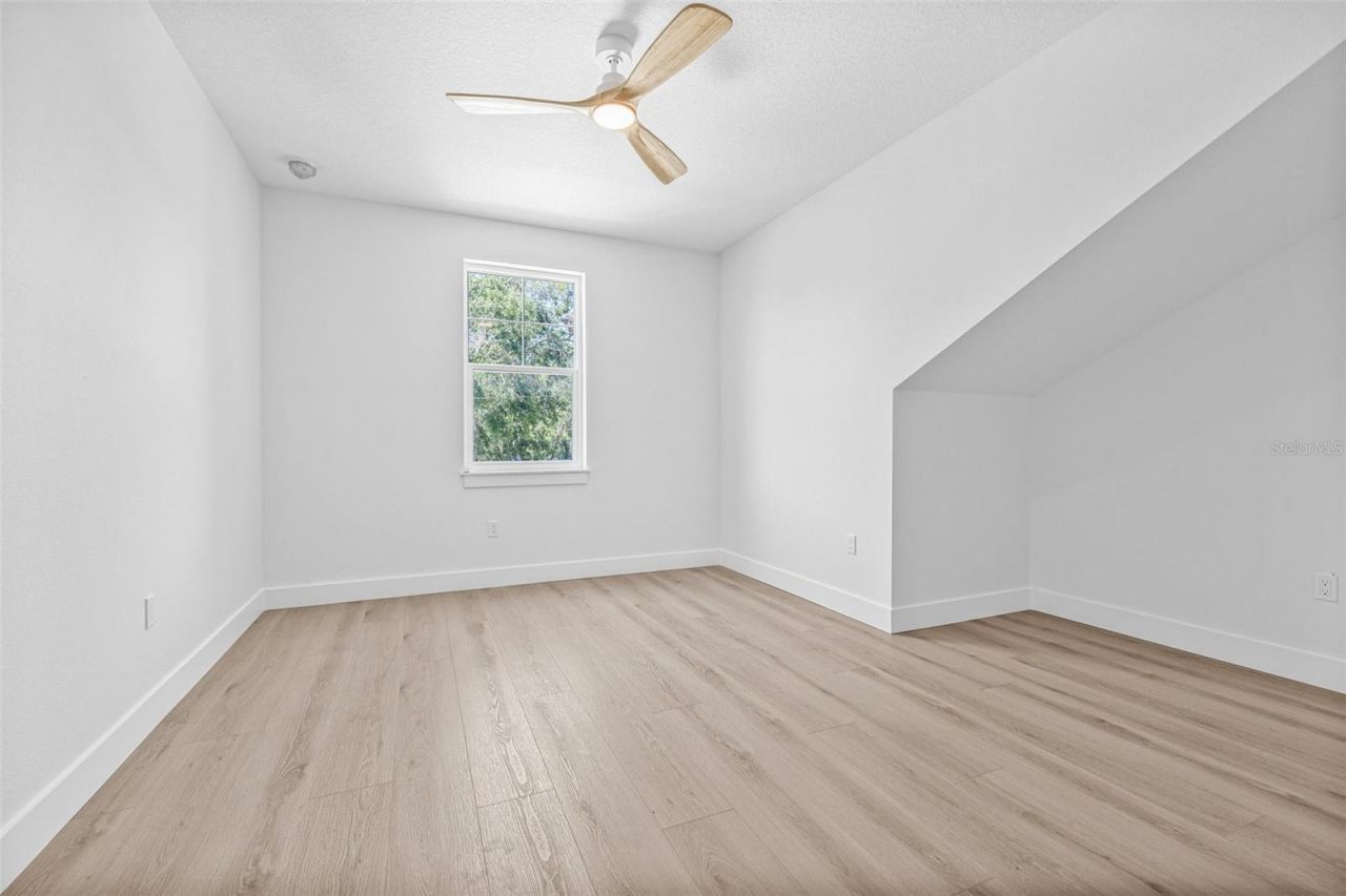 7617 Alvina Street, Tampa, FL 33625 Photo