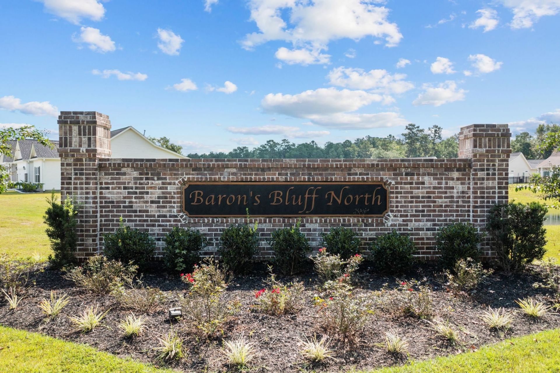 309 Barony Dr.  Photo 40