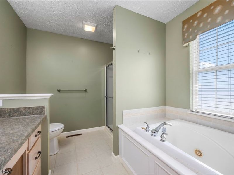 407 Clearbrook Drive , Avon Lake, OH 44012 Photo 16