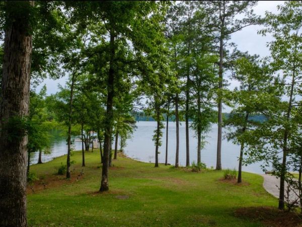 148 SUNNY Ln, Arley, AL 35541
