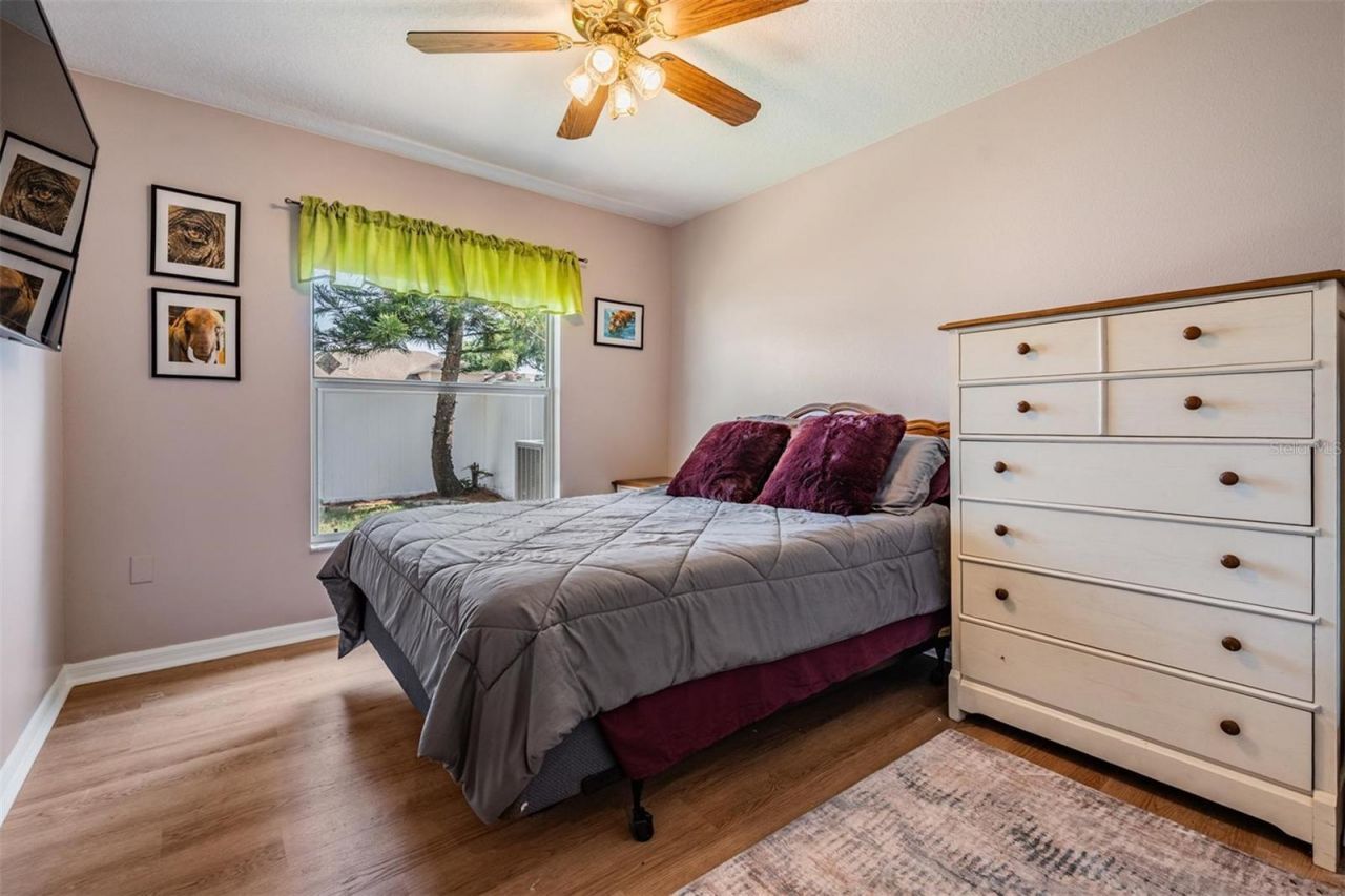 1821 Palm Ridge Place, Valrico, FL 33594 Photo