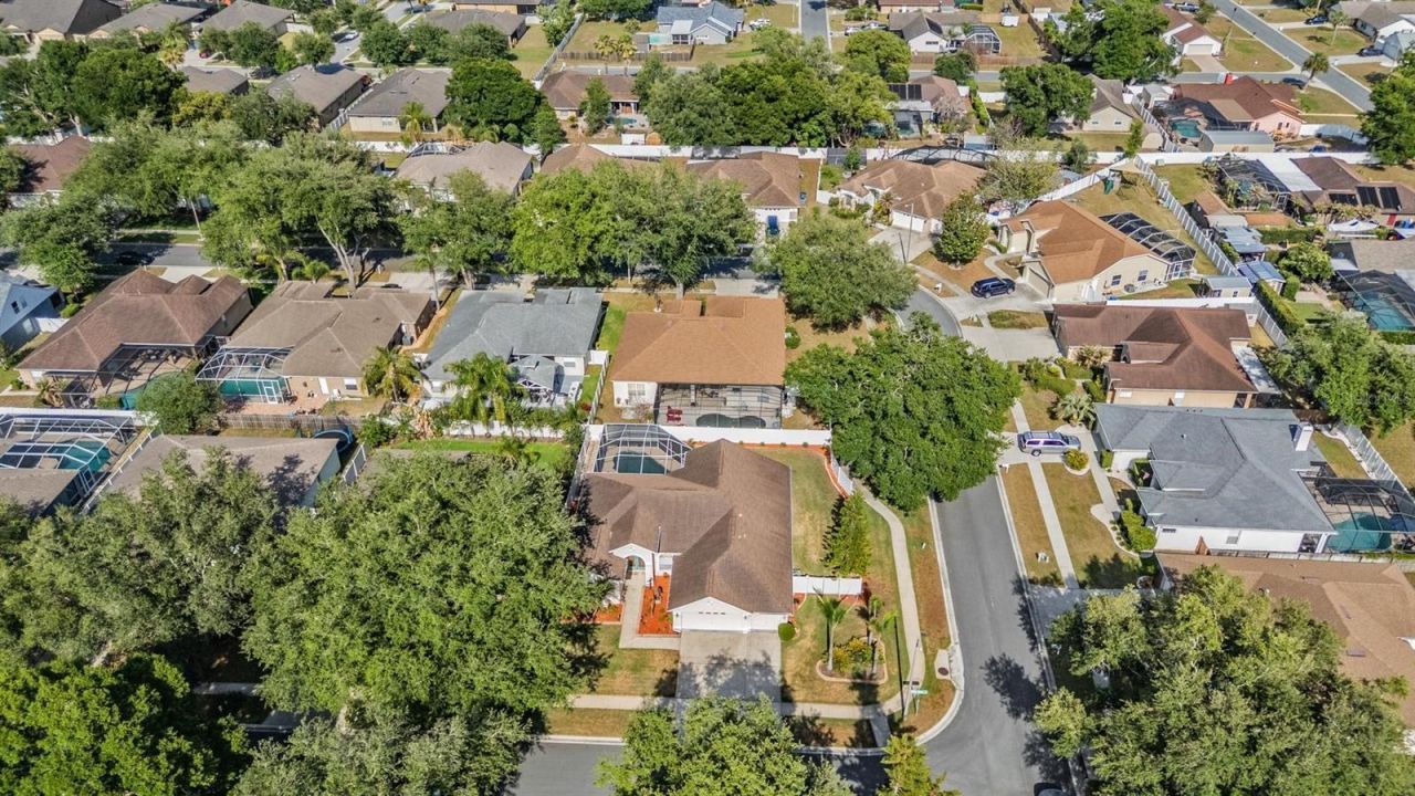 1821 Palm Ridge Place, Valrico, FL 33594 Photo
