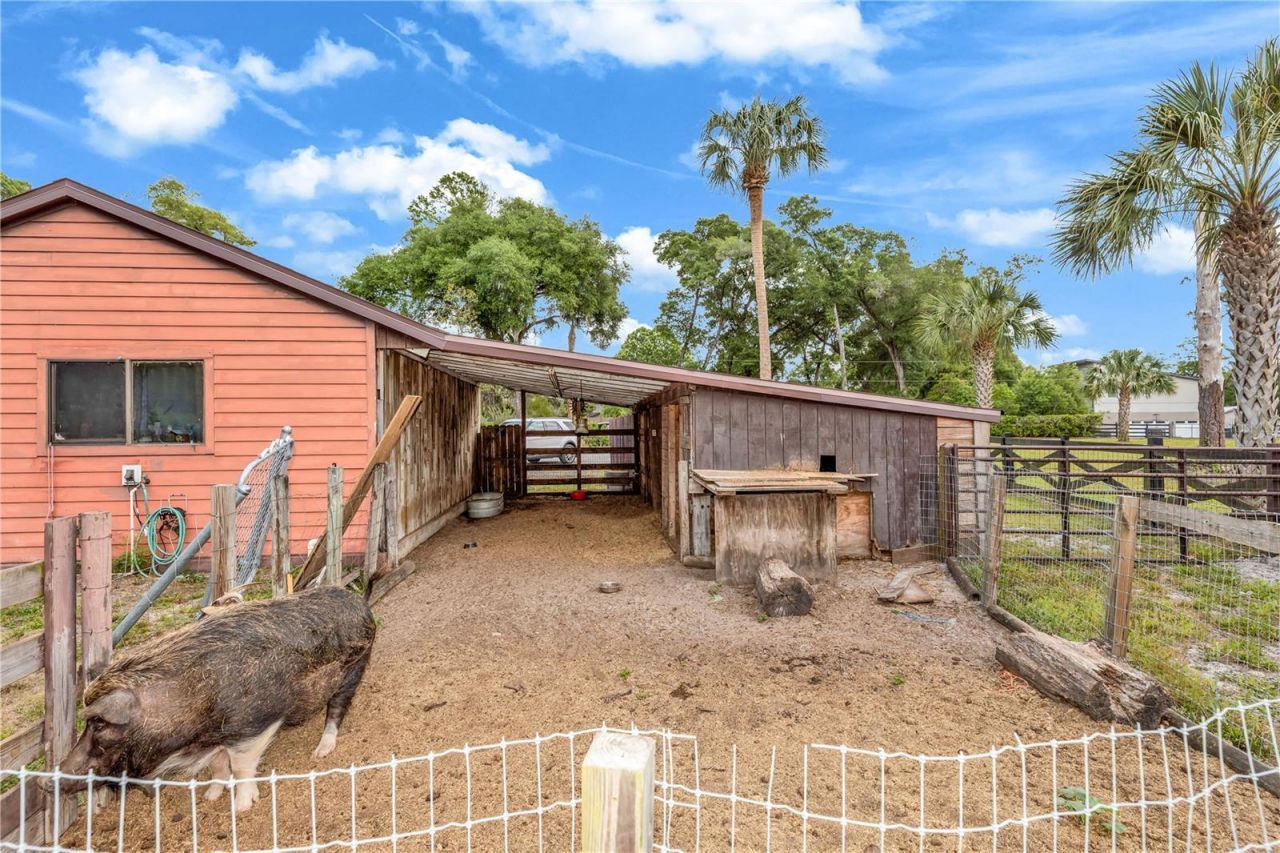 721 Mcgregor Road, Deland, FL 32720 Photo