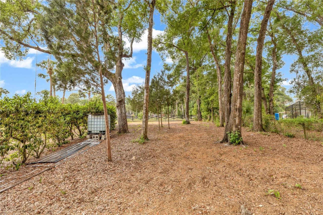 721 Mcgregor Road, Deland, FL 32720 Photo