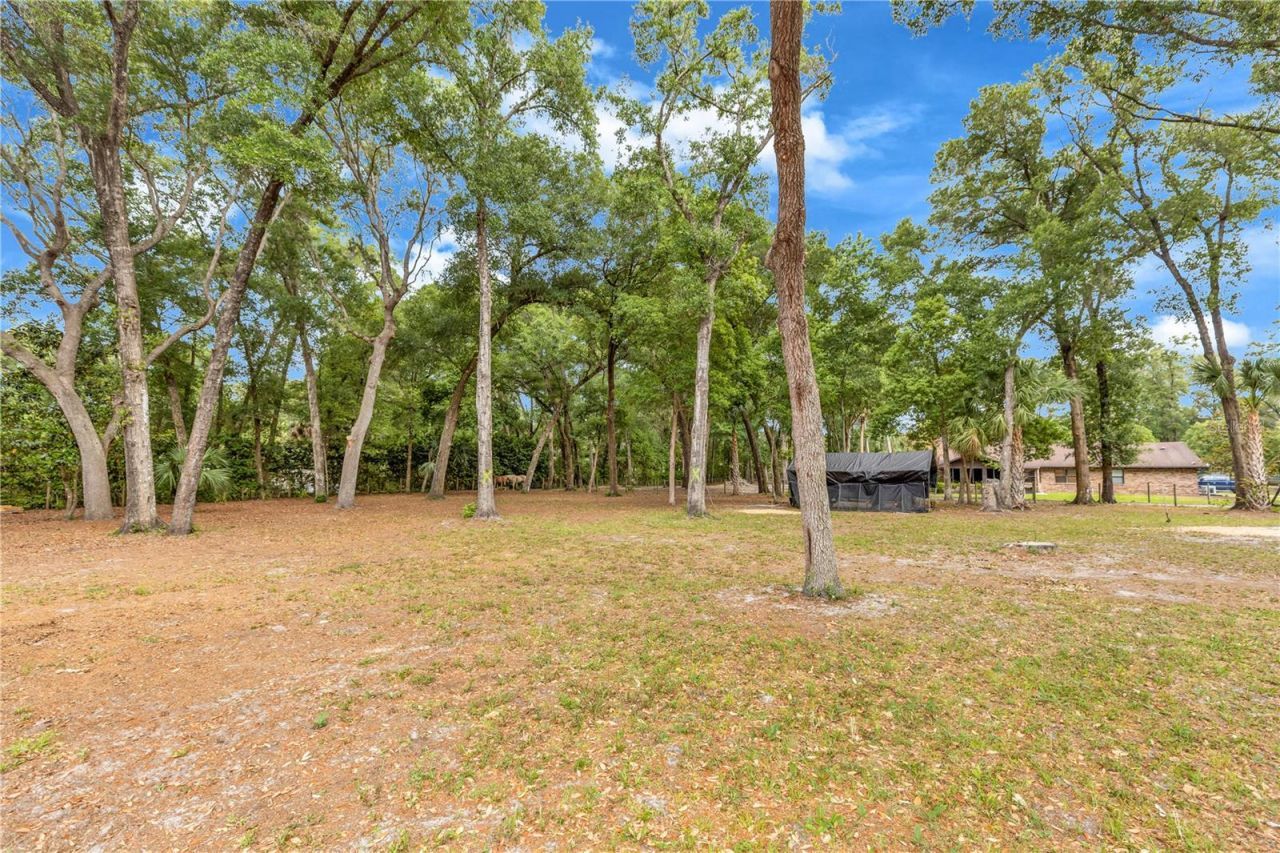 721 Mcgregor Road, Deland, FL 32720 Photo