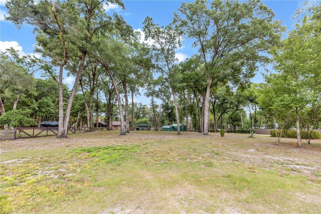 721 Mcgregor Road, Deland, FL 32720 Photo