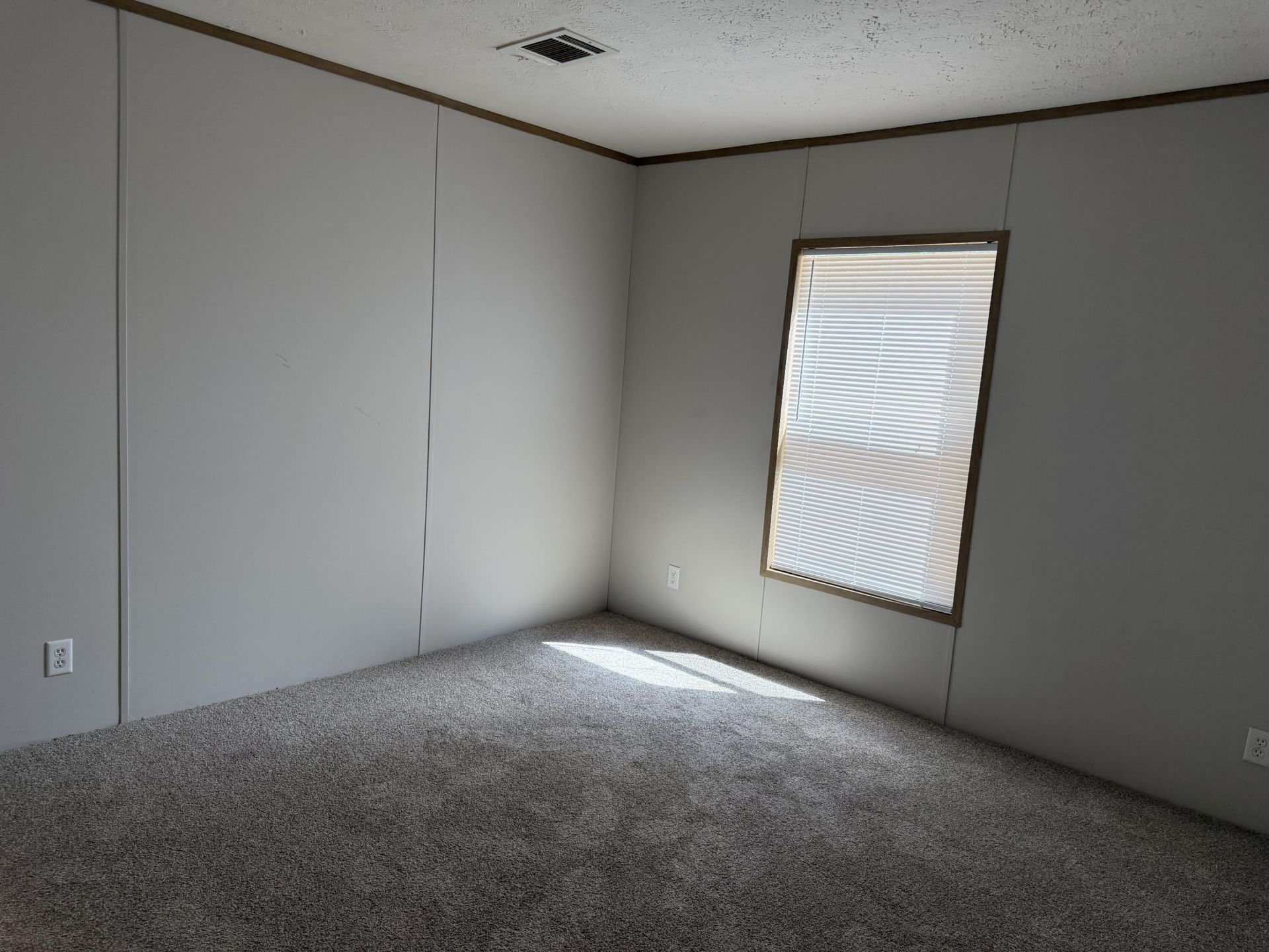 115 Ash Hill Drive Photo 19