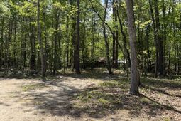 115 Ash Hill Drive photo 4