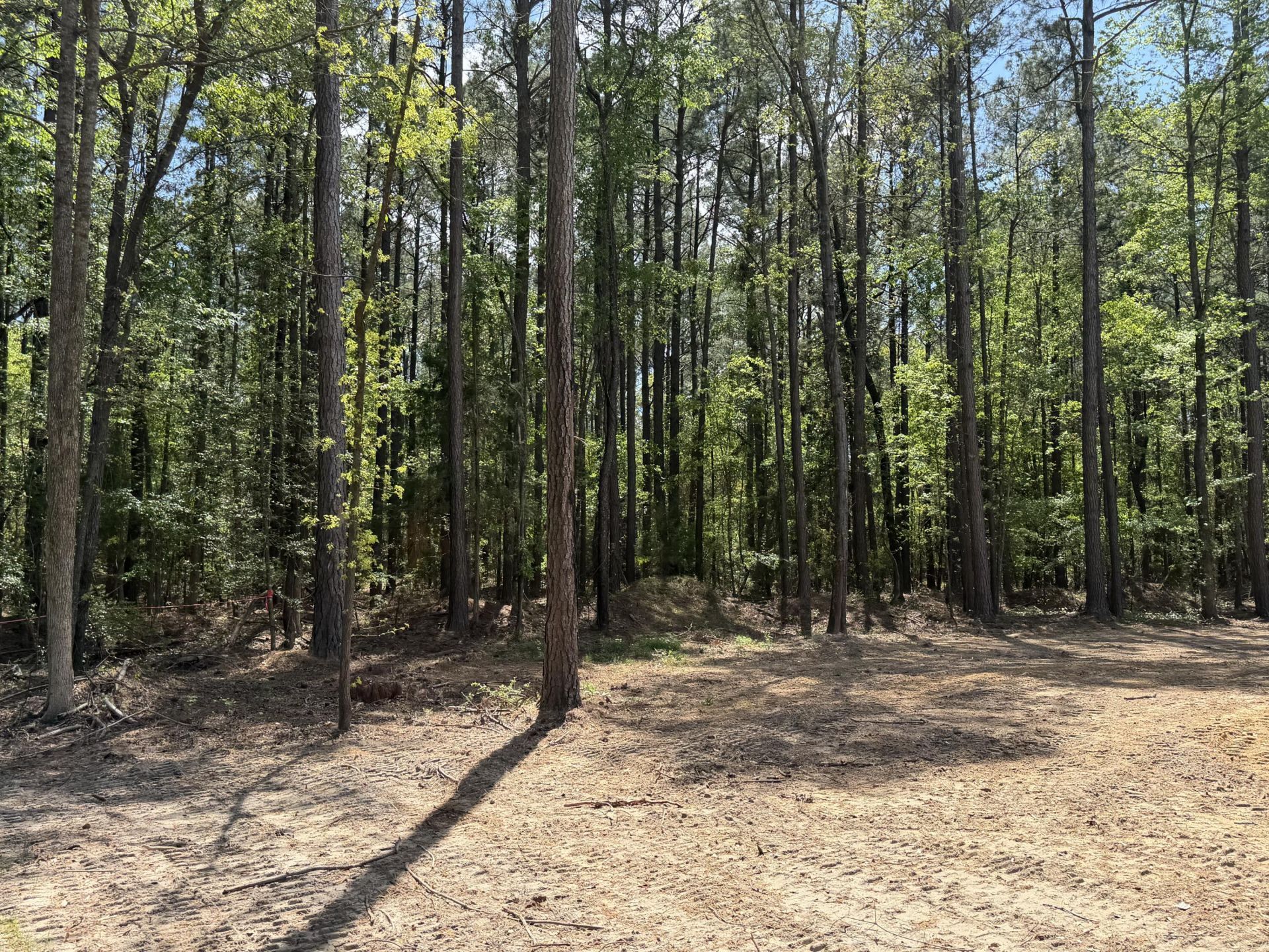 115 Ash Hill Drive Photo 4