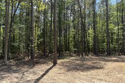 115 Ash Hill Drive photo 4