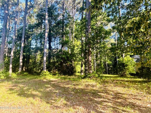116 Magnolia Bay Lane , Wallace, NC 28466